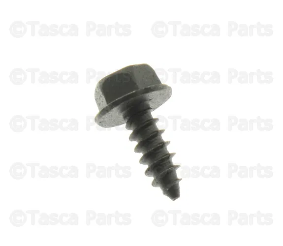 Fog Lamp Assembly Screw - Nissan (01456-00451)