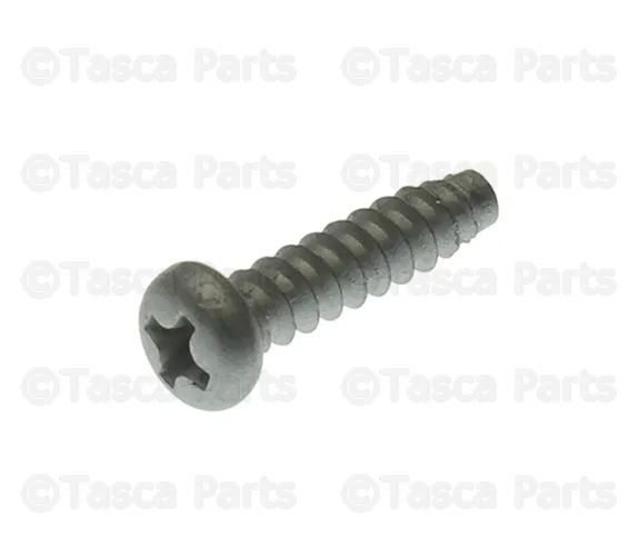License Plate Light Assembly Screw - Nissan (08513-4165A)