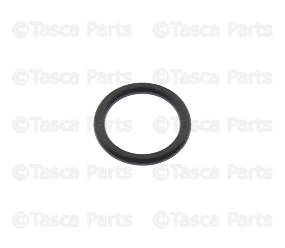 Camshaft Sensor O-Ring - Nissan (22131-5M005)