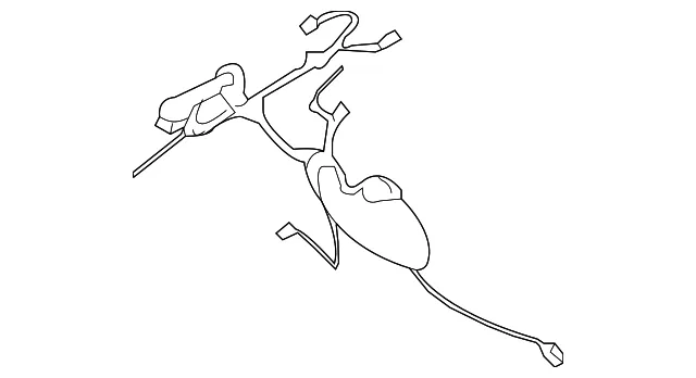Door Wiring Harness - Nissan (24125-9BL0A)