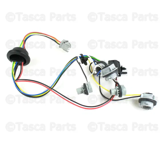 Socket & Wire - Volvo (30698557) - view 4