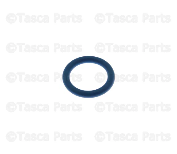 M.A.P Sensor O-Ring - Volvo (30713581) - view 4