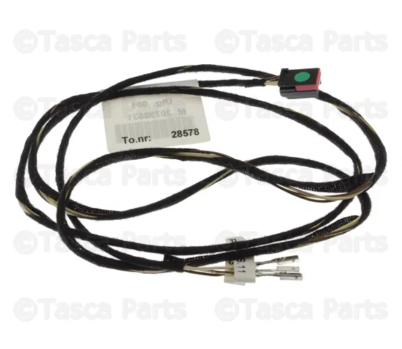 Wiring Harness - Volvo (30798531)