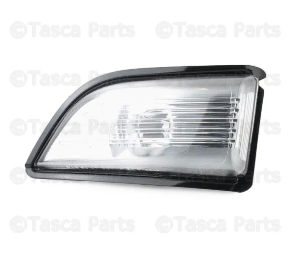 Turn Signal Light Assembly - Volvo (31217288)