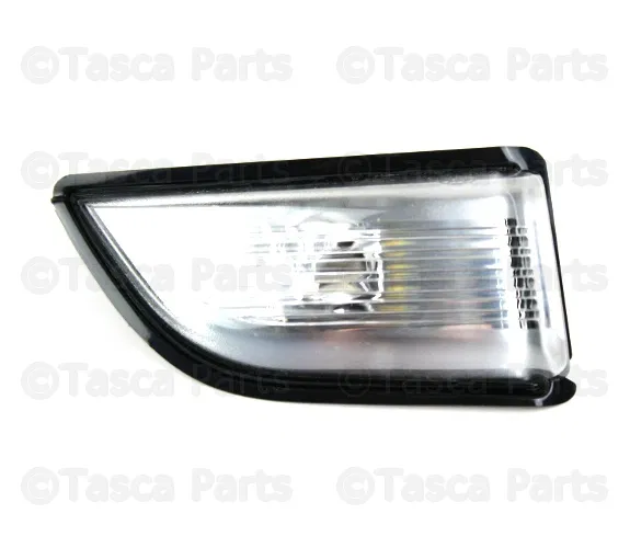 Turn Signal Light Assembly - Volvo (31217289)