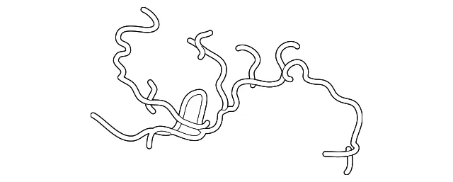 HVAC System Wiring Harness - Volvo (31449164)