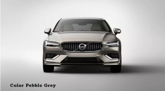 Exterior Styling - Deflector - Birch Light - Volvo (39793415)