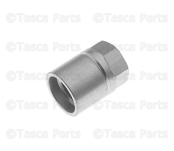 Tire Pressure Monitoring System (TPMS) Sensor Nut - Nissan (40780-JA01B)