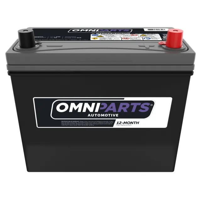 Battery - Nissan (42010-008)