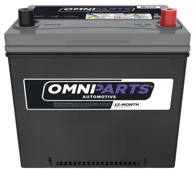 Battery - Nissan (42010-009)