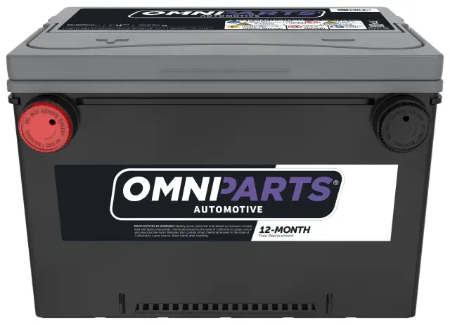 Battery - Nissan (42010-013)