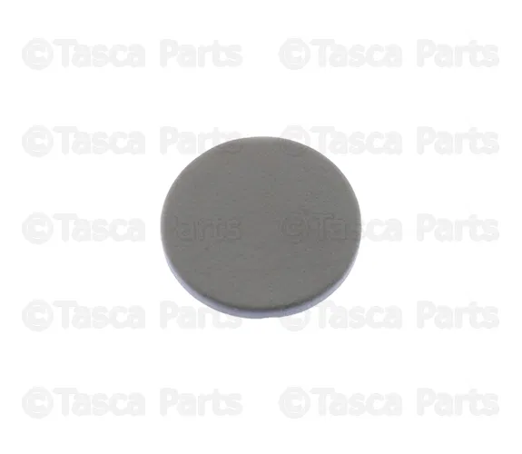 Window Switch Cap - Kia (82734-3A000H9)