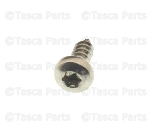 License Plate Light Assembly Screw - Volvo (972049)