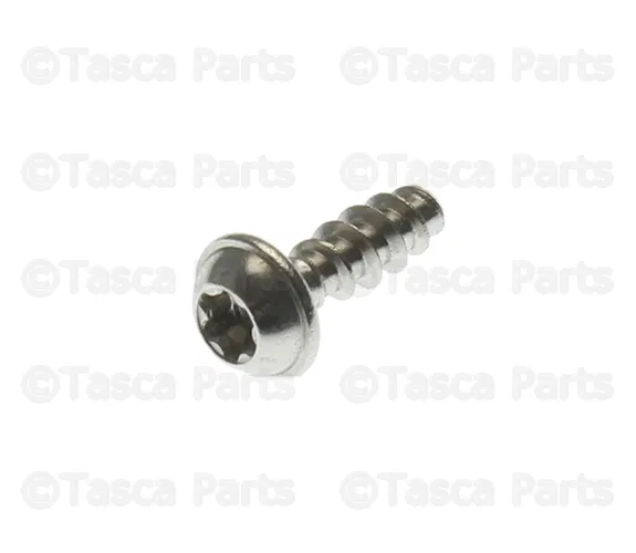 License Lamp Screw - Volvo (979622)