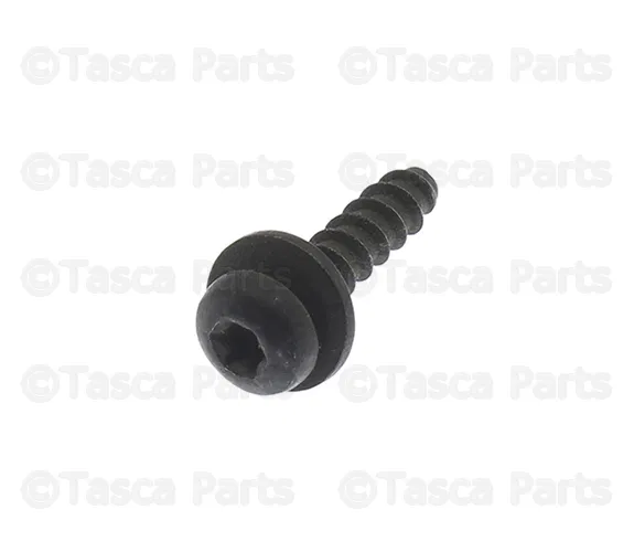 License Lamp Screw - Volvo (999220)