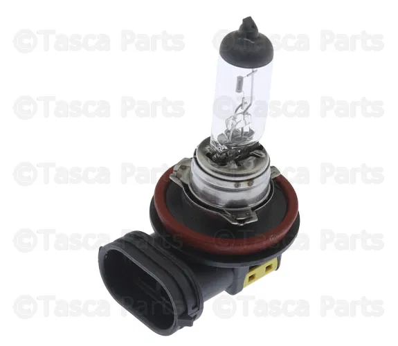Fog Lamp Bulb - Nissan (B6296-4A001)