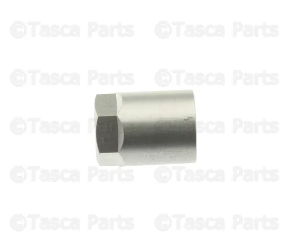 Tire Pressure Monitoring System (TPMS) Sensor Nut - Mazda (GS1D-37-141A)