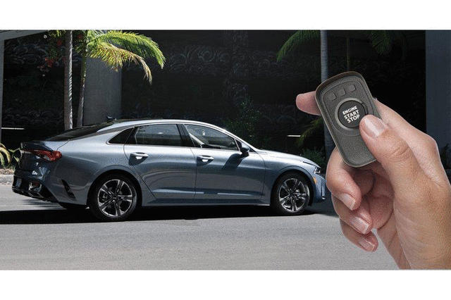 Remote Start, Key Start Model - Kia (L3F57-AC001) - view 2