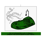 Tail Light Assembly - Mazda (gg2a51180a) - view 4